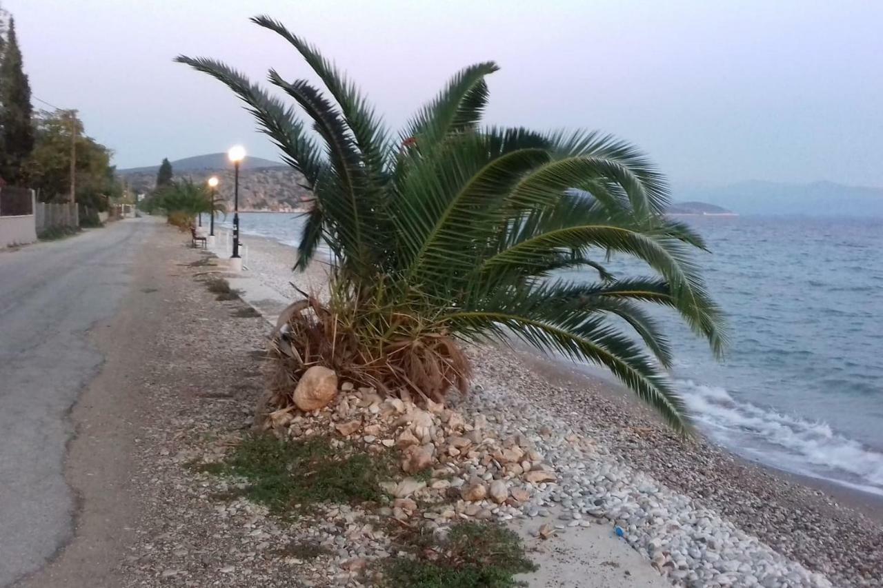 Family House Near The Beach Drepano-Nafplio Buitenkant foto